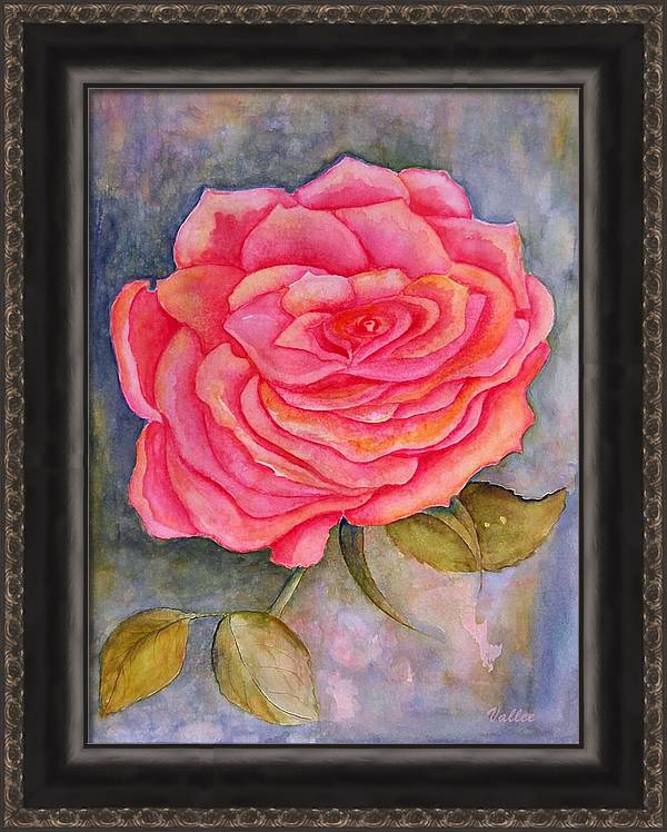 Rose is a Rose