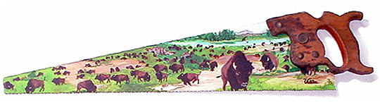 Bison